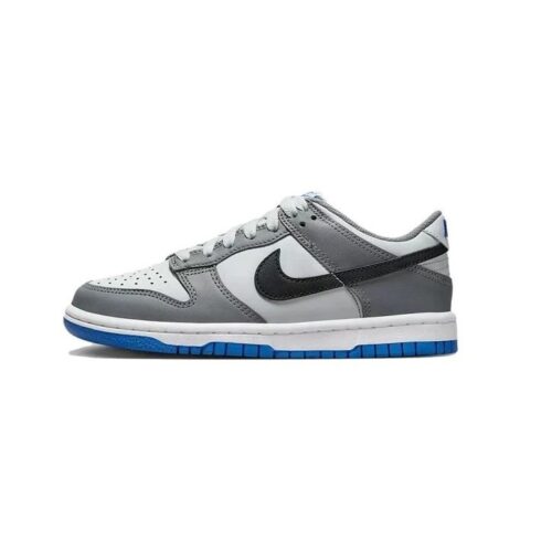 Big Kids Nike Dunk Low Cool Grey/Black-Pure Platinum (Fb9109 001)