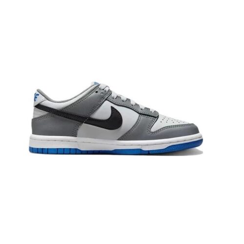 Big Kids Nike Dunk Low Cool Grey/Black-Pure Platinum (Fb9109 001)