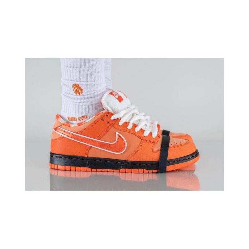 Concepts X Dunk Low Sb Orange Lobster Fd8776-800