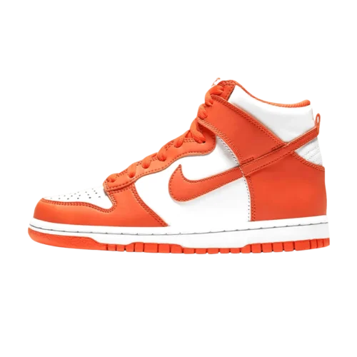 Nike Dunk High Sp Gs syracuse 2021