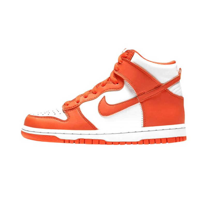 Nike Dunk High Sp Gs syracuse 2021