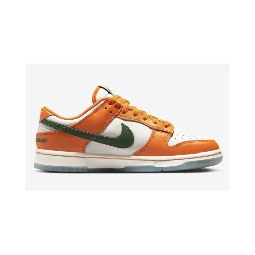 Nike Dunk Low “Florida A&M”