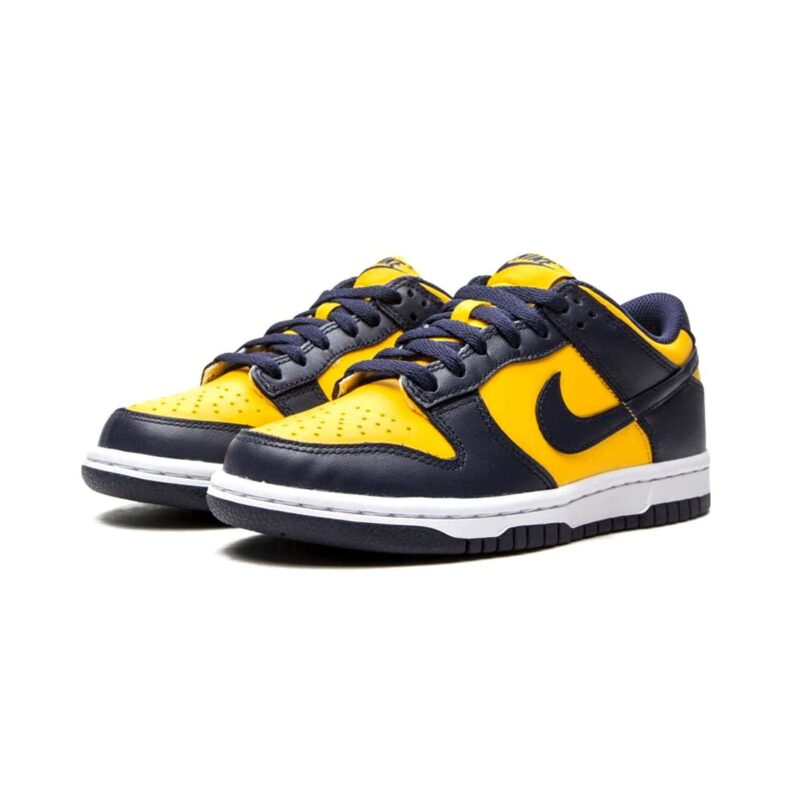 Nike Dunk Low Gs Michigan 2021