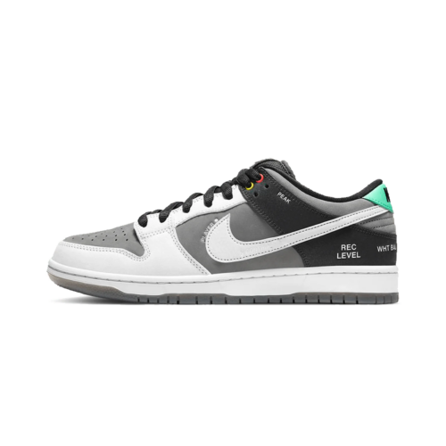 Nike Dunk Low Sb Camcorder