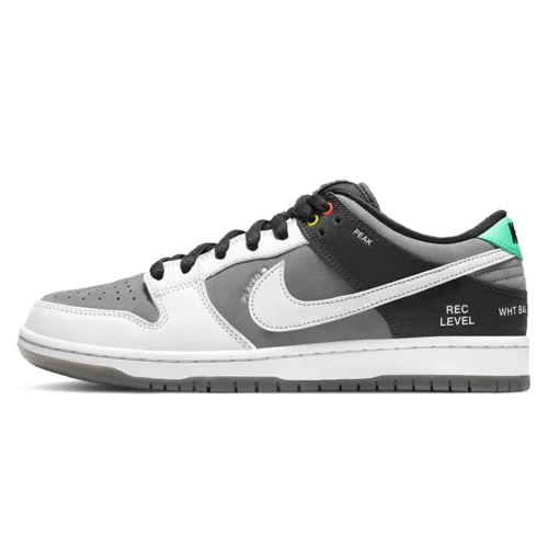 Nike Dunk Low Sb Camcorder