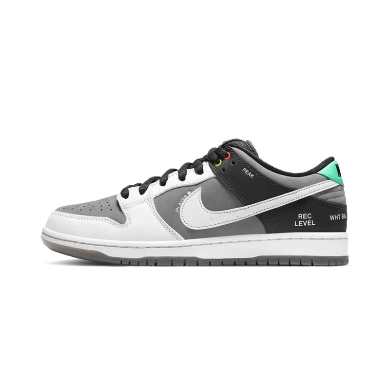 Nike Dunk Low Sb Camcorder