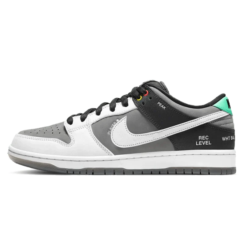 Nike Dunk Low Sb Camcorder