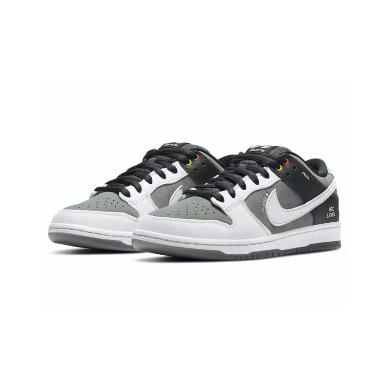 Nike Dunk Low Sb Camcorder