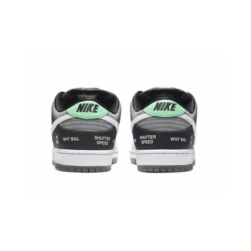 Nike Dunk Low Sb Camcorder